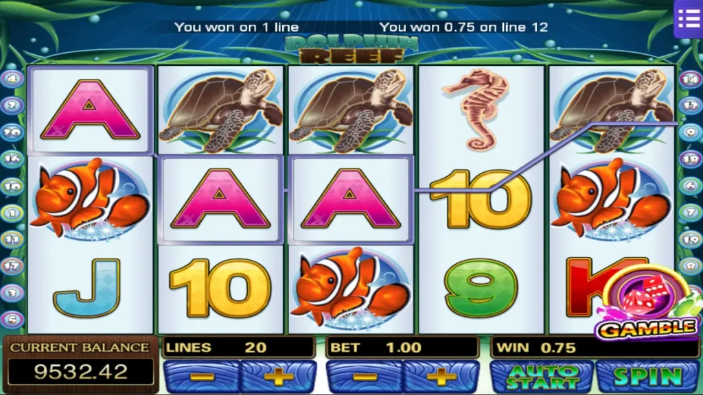 Player gets the chance to play Dolphin Reef Gamble